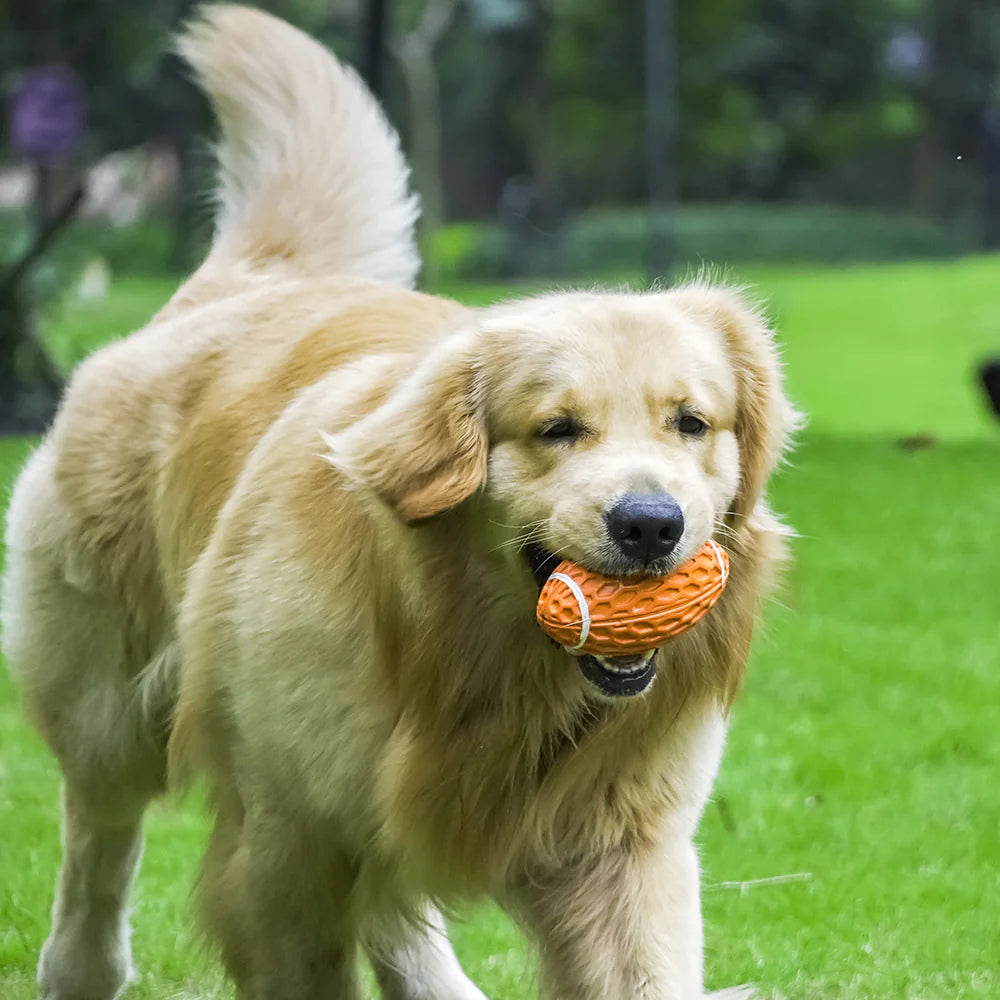 Durable Dog Toy for Chewers – Interactive Rugby Ball with Sound