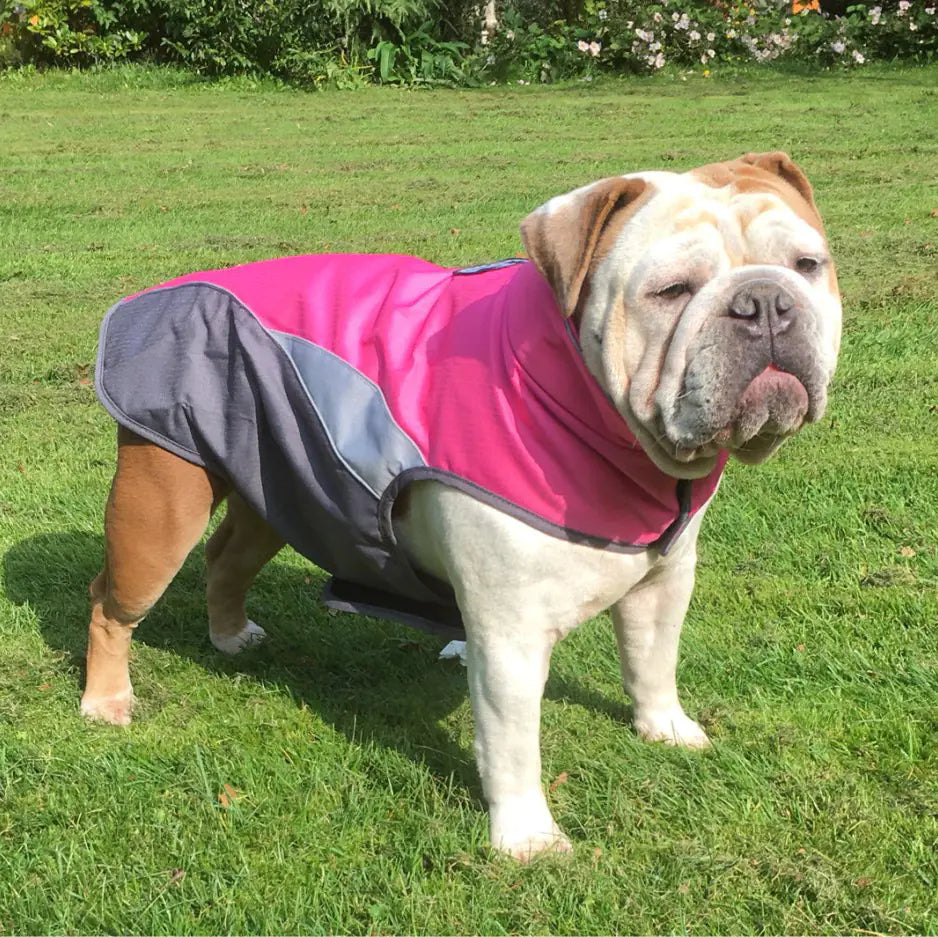Waterproof Outdoor Pet Raincoat – Warm & Stylish Protection