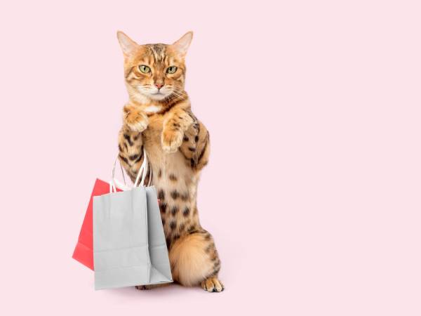 Meow Magic